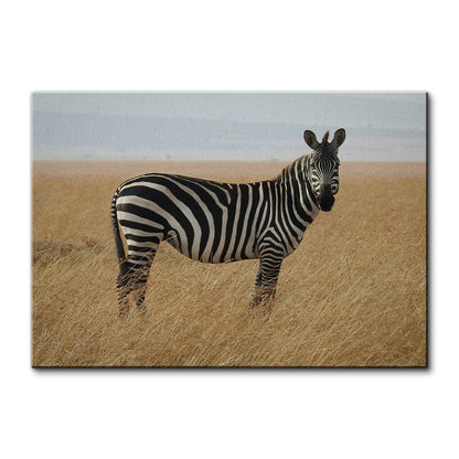 Safari Zebra Wall Art