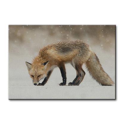 Winter Fox Large Wall Art