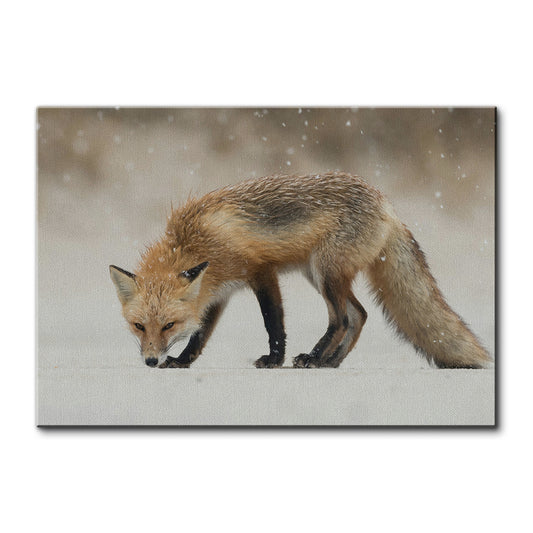 Winter Fox Large Wall Art