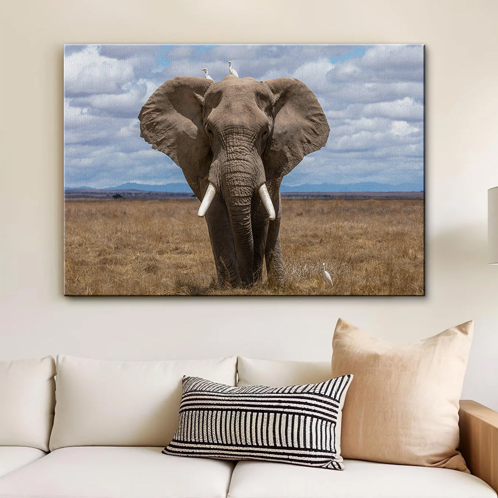 Safari Elephant Wall Art