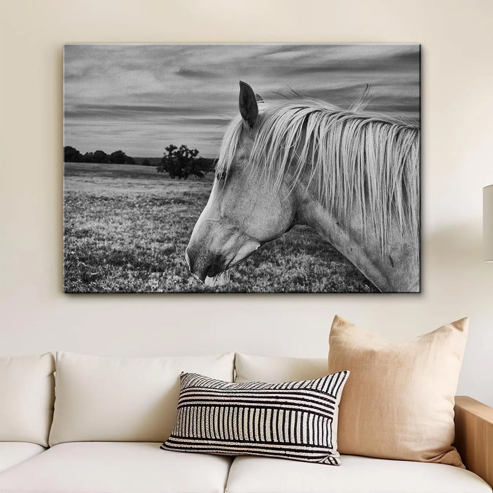Black White Horse Wall Art
