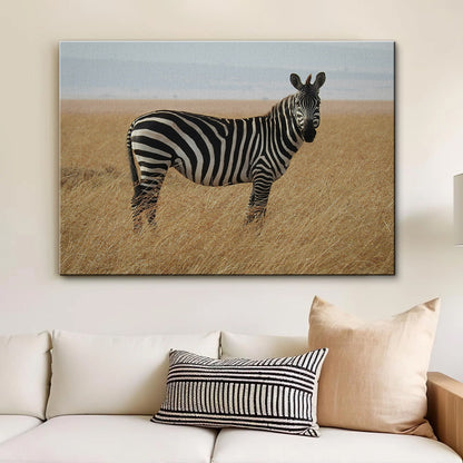 Safari Zebra Wall Art