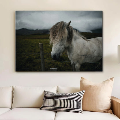 White Horse Wall Art