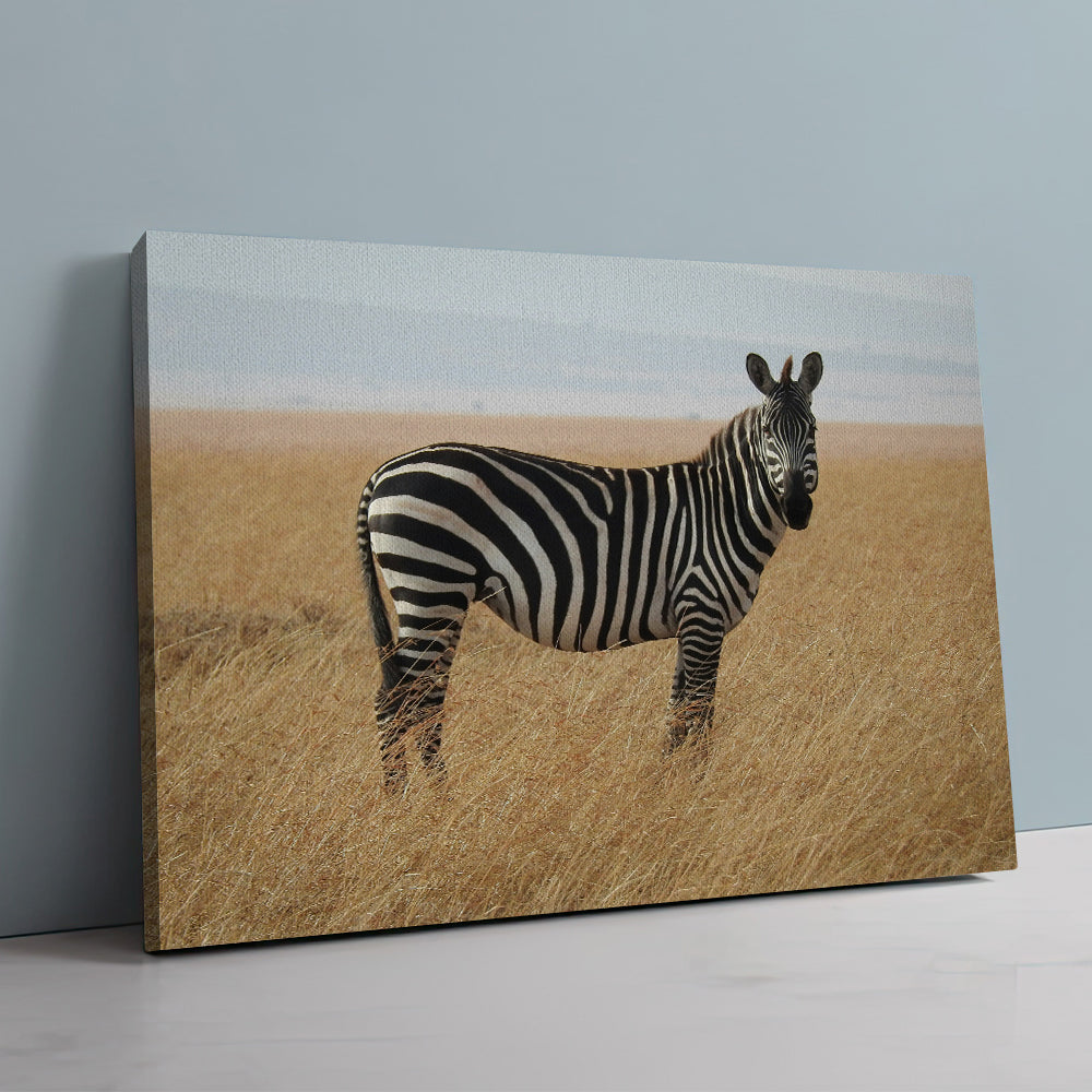 Safari Zebra Wall Art