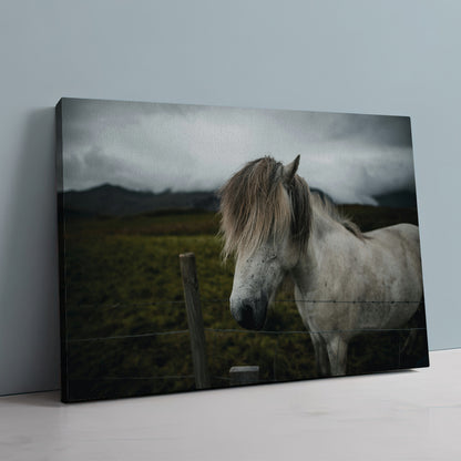 White Horse Wall Art