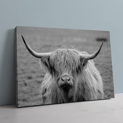 Black White Highland Cow Wall Art