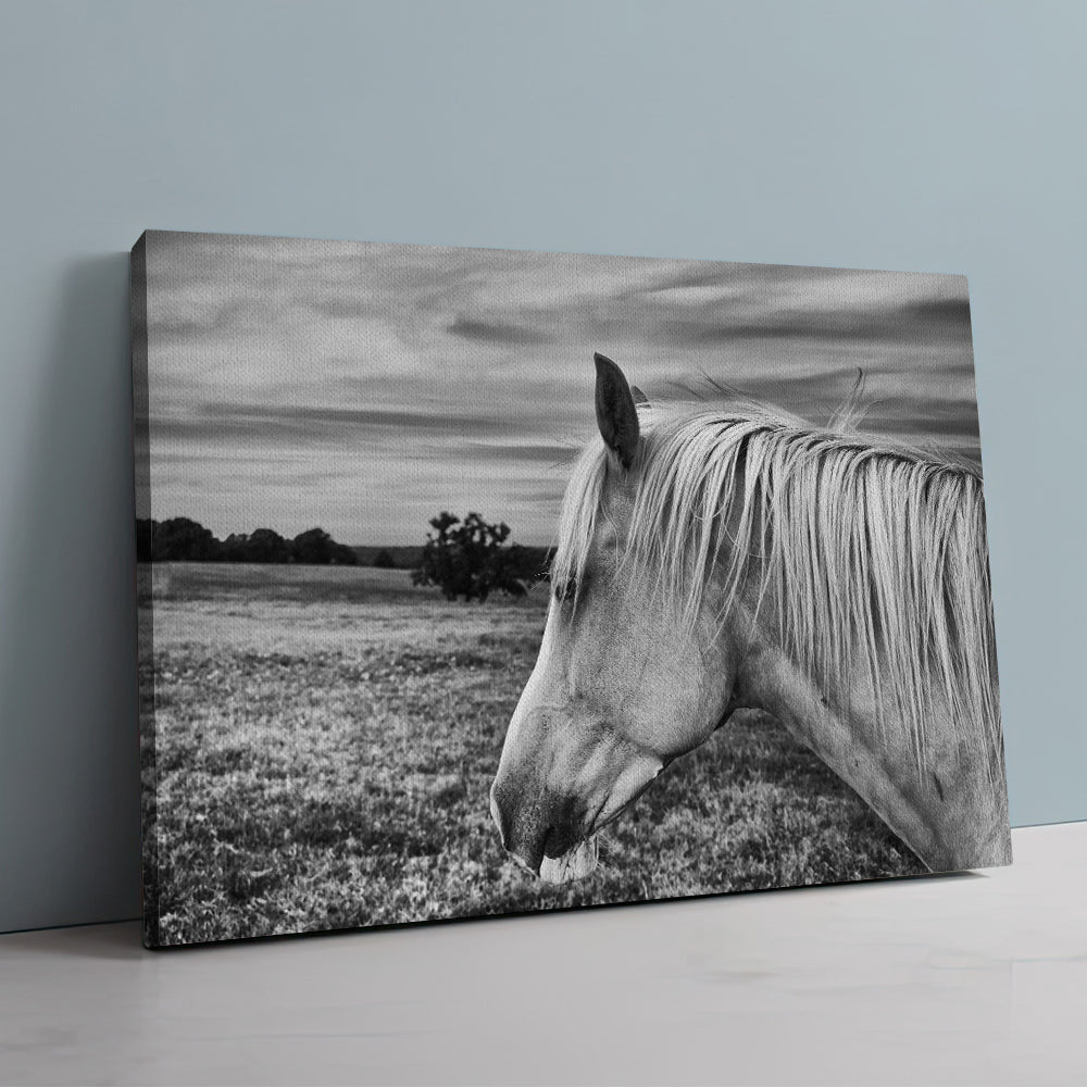 Black White Horse Wall Art