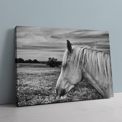 Black White Horse Wall Art
