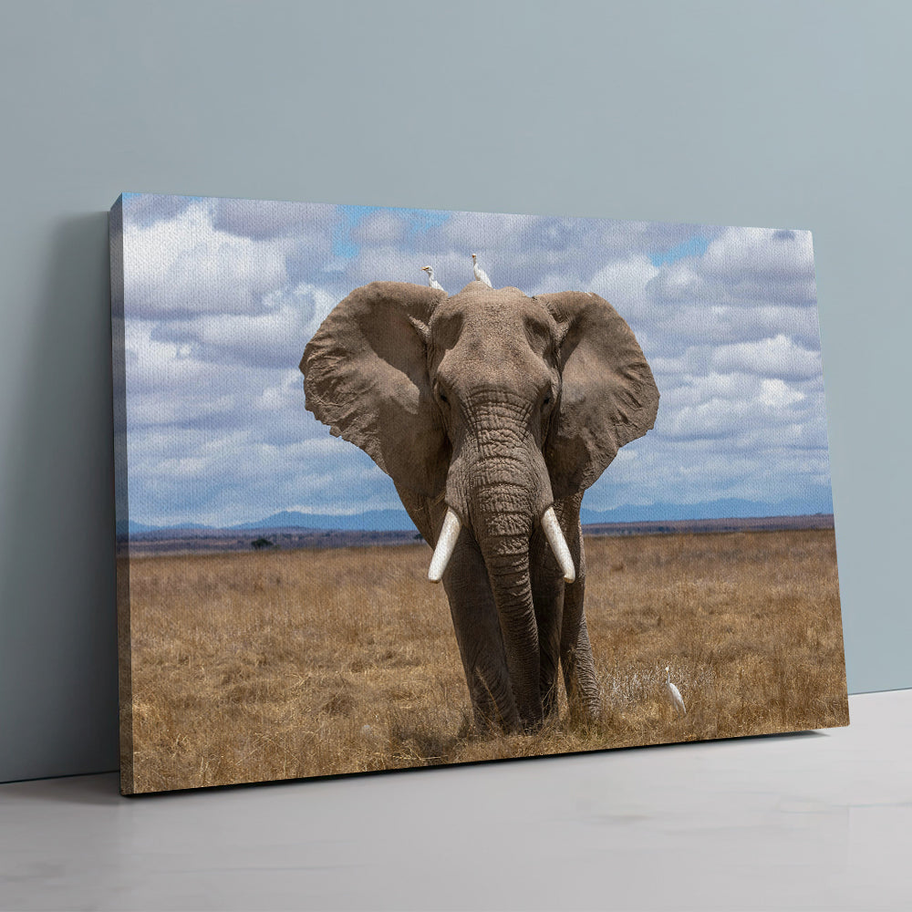 Safari Elephant Wall Art