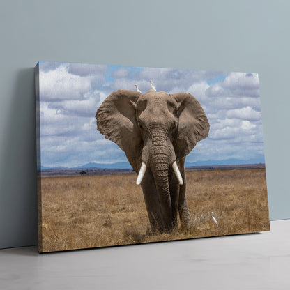 Safari Elephant Wall Art