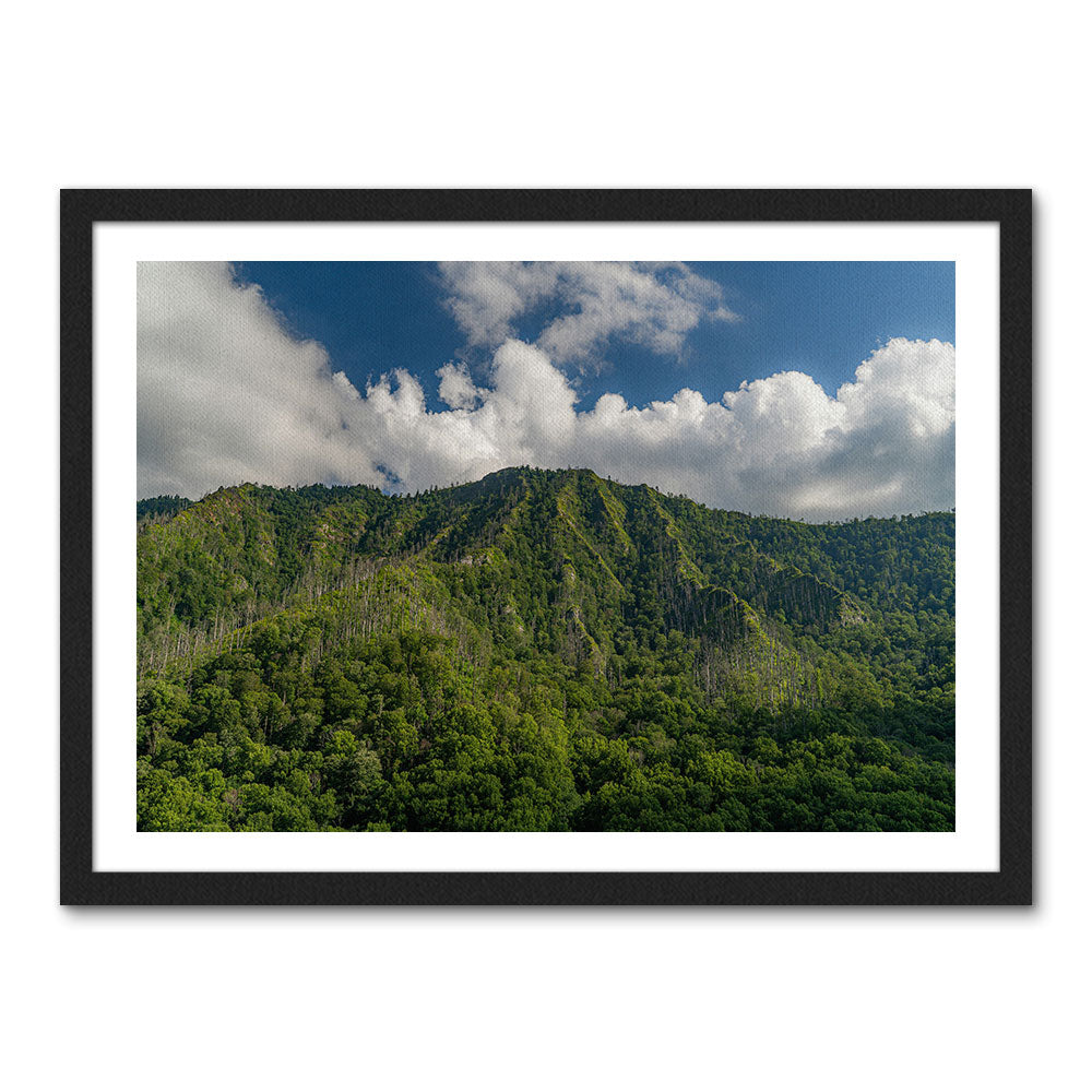 Great Smoky Mountains National Park Wall Art