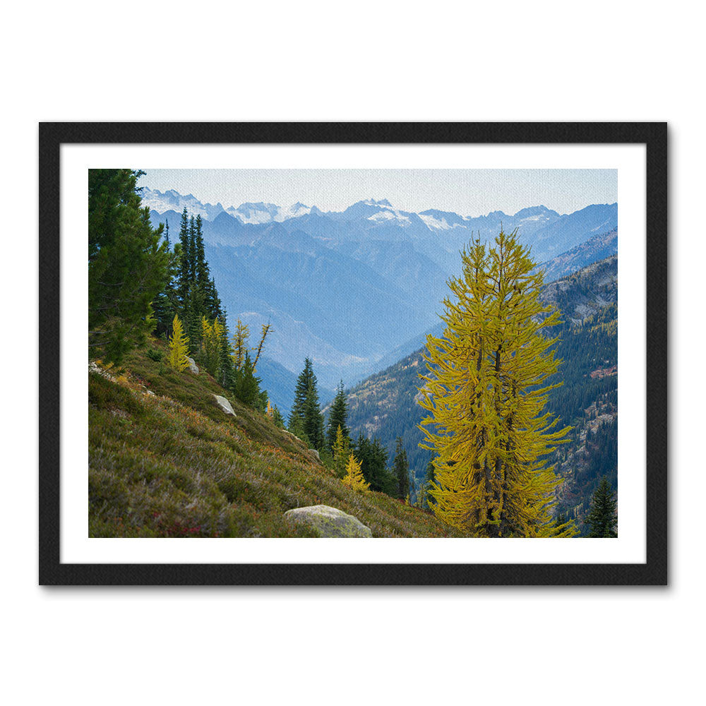 Olympic National Park Wall Art