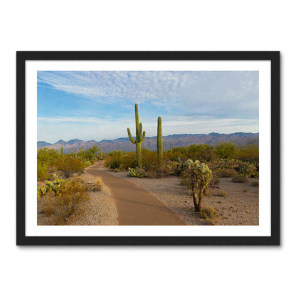 Saguaro National Park Wall Art