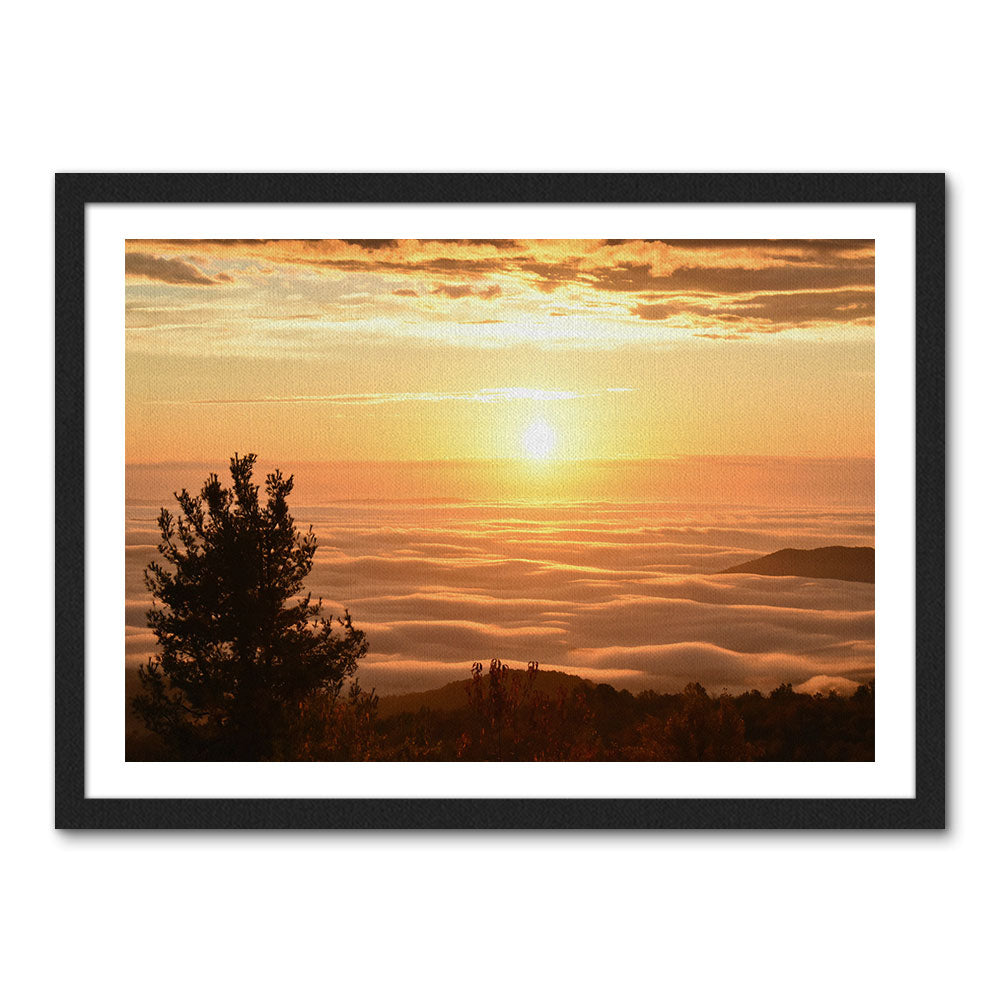 Shenandoah National Park Wall Art