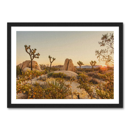 Joshua Tree National Park Wall Art