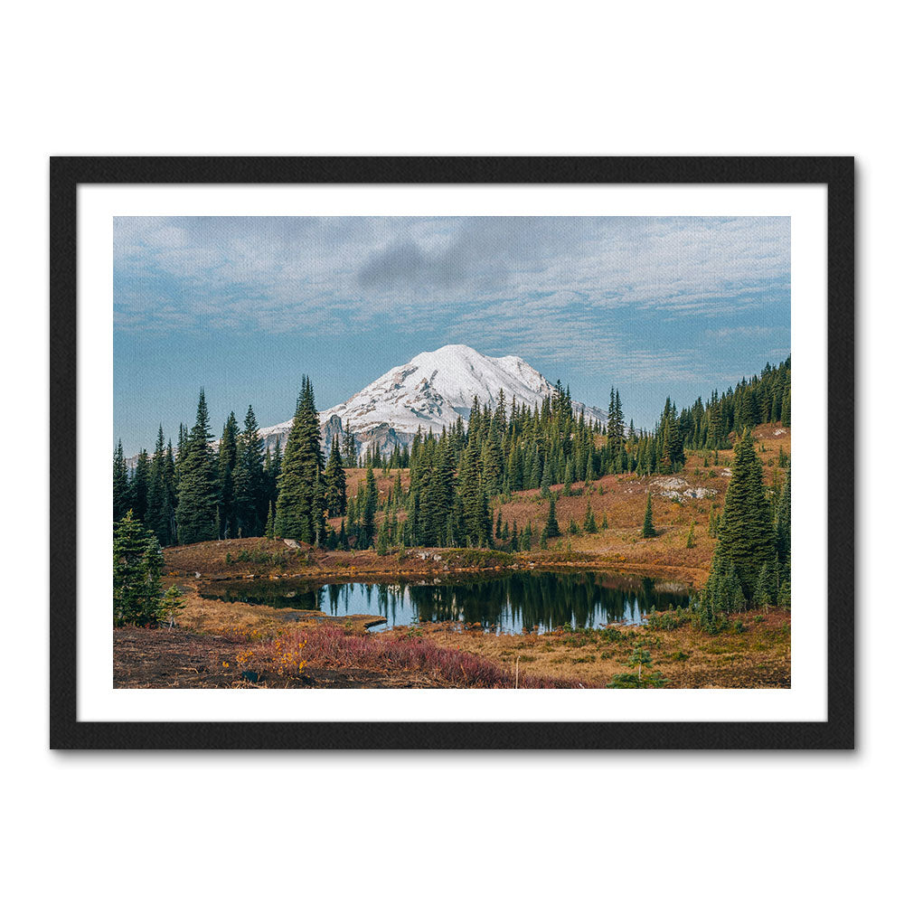 Mount Rainier National Park Wall Art