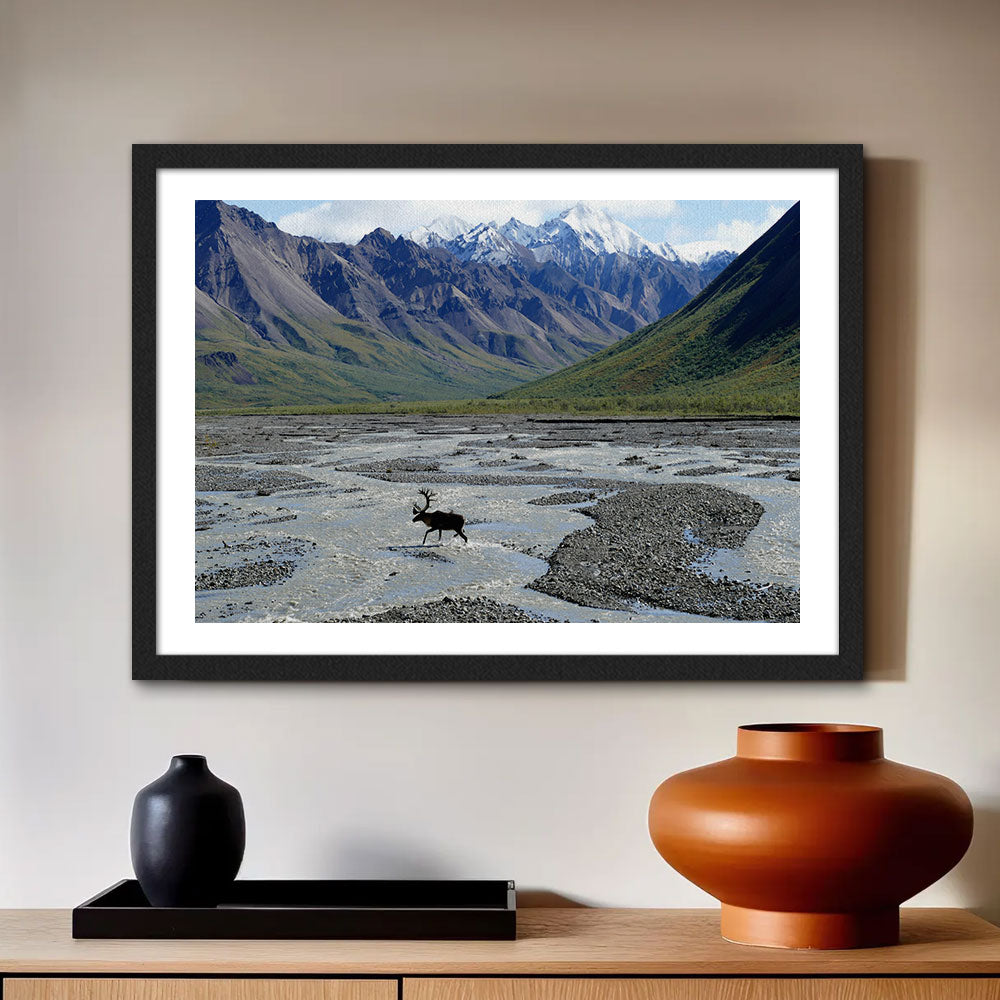 Denali National Park and Preserve Wall Art