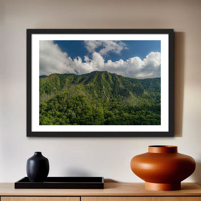 Great Smoky Mountains National Park Wall Art