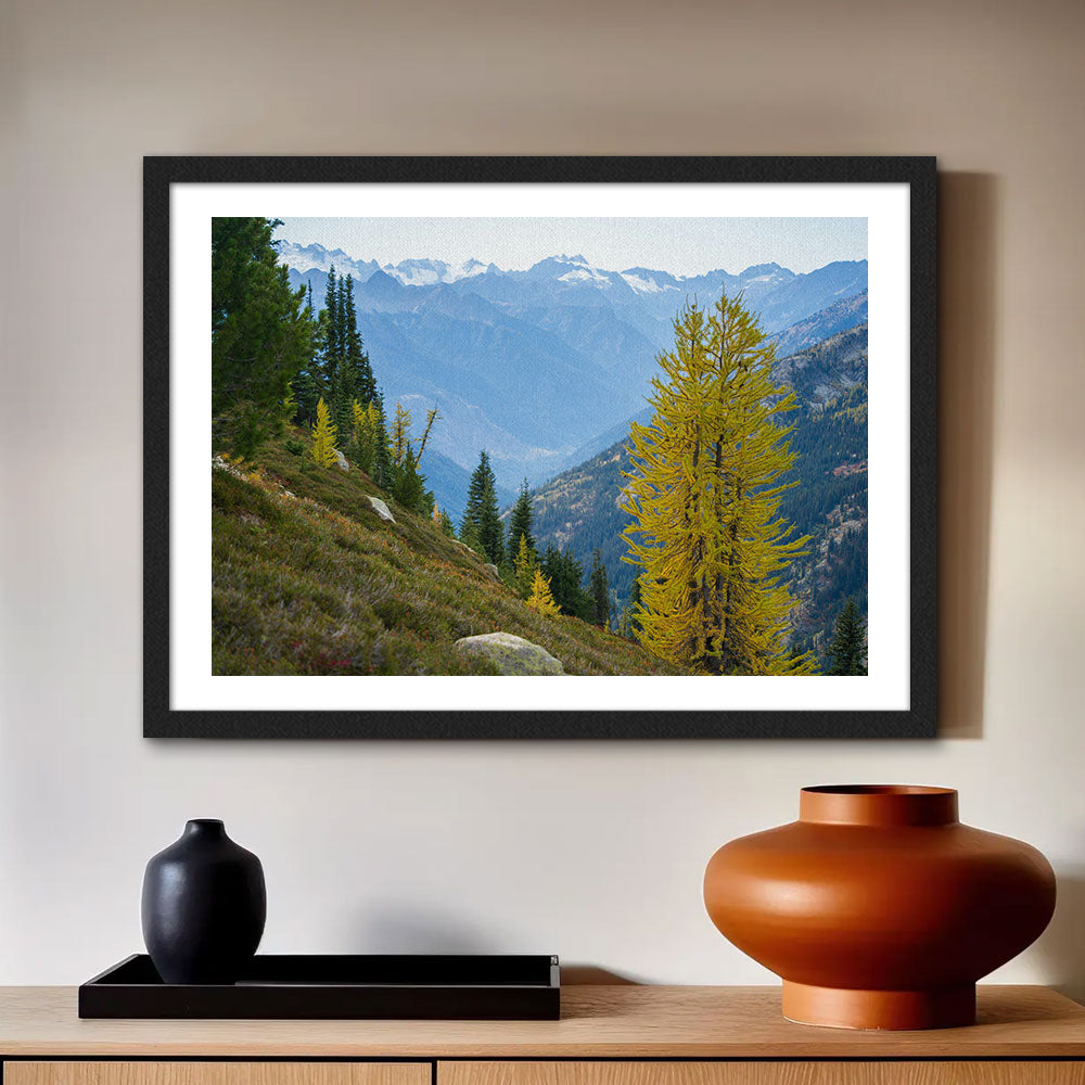 Olympic National Park Wall Art