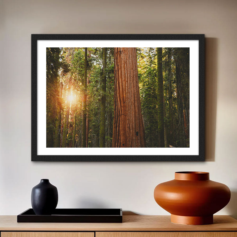 Sequoia National Park Wall Art