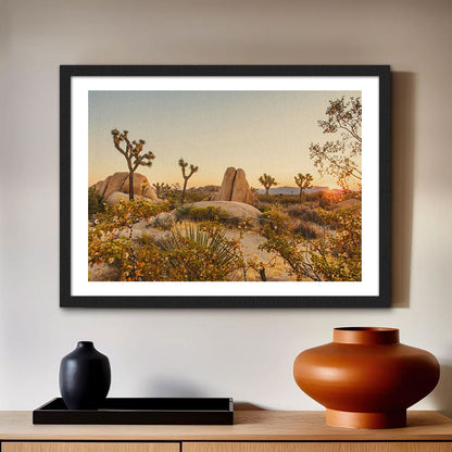 Joshua Tree National Park Wall Art