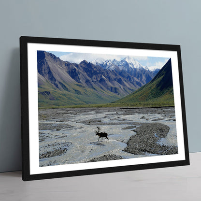 Denali National Park and Preserve Wall Art