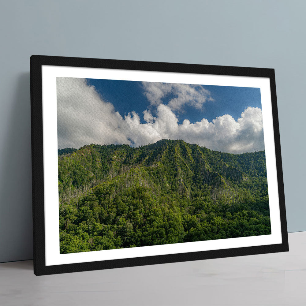 Great Smoky Mountains National Park Wall Art