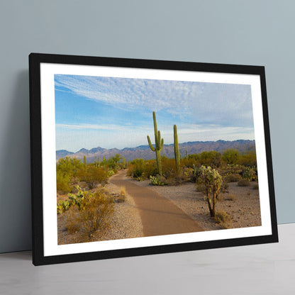 Saguaro National Park Wall Art