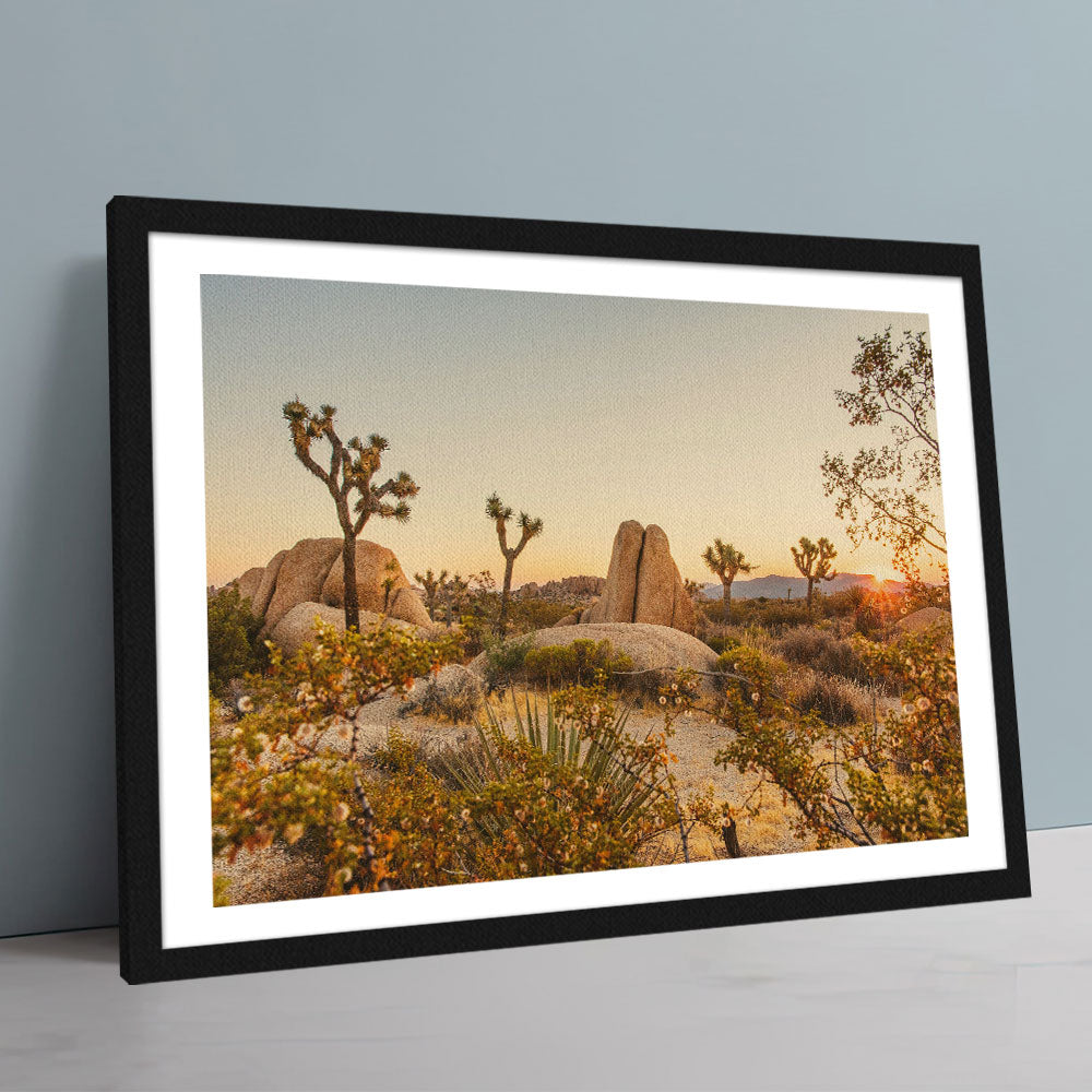 Joshua Tree National Park Wall Art