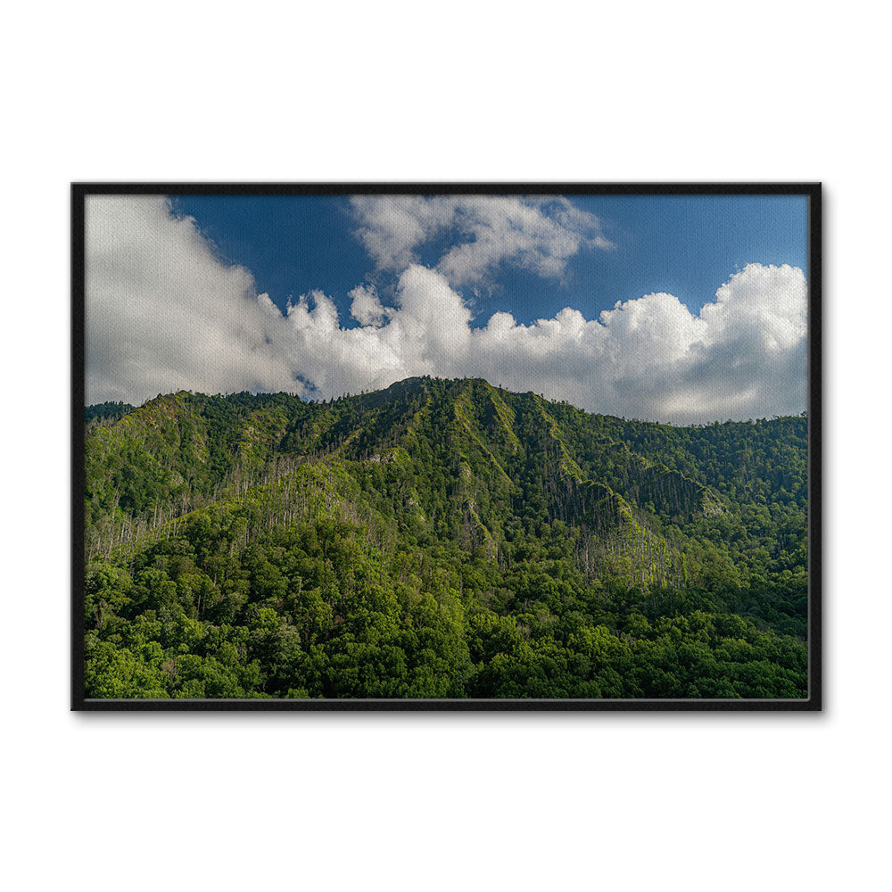 Great Smoky Mountains National Park Wall Art