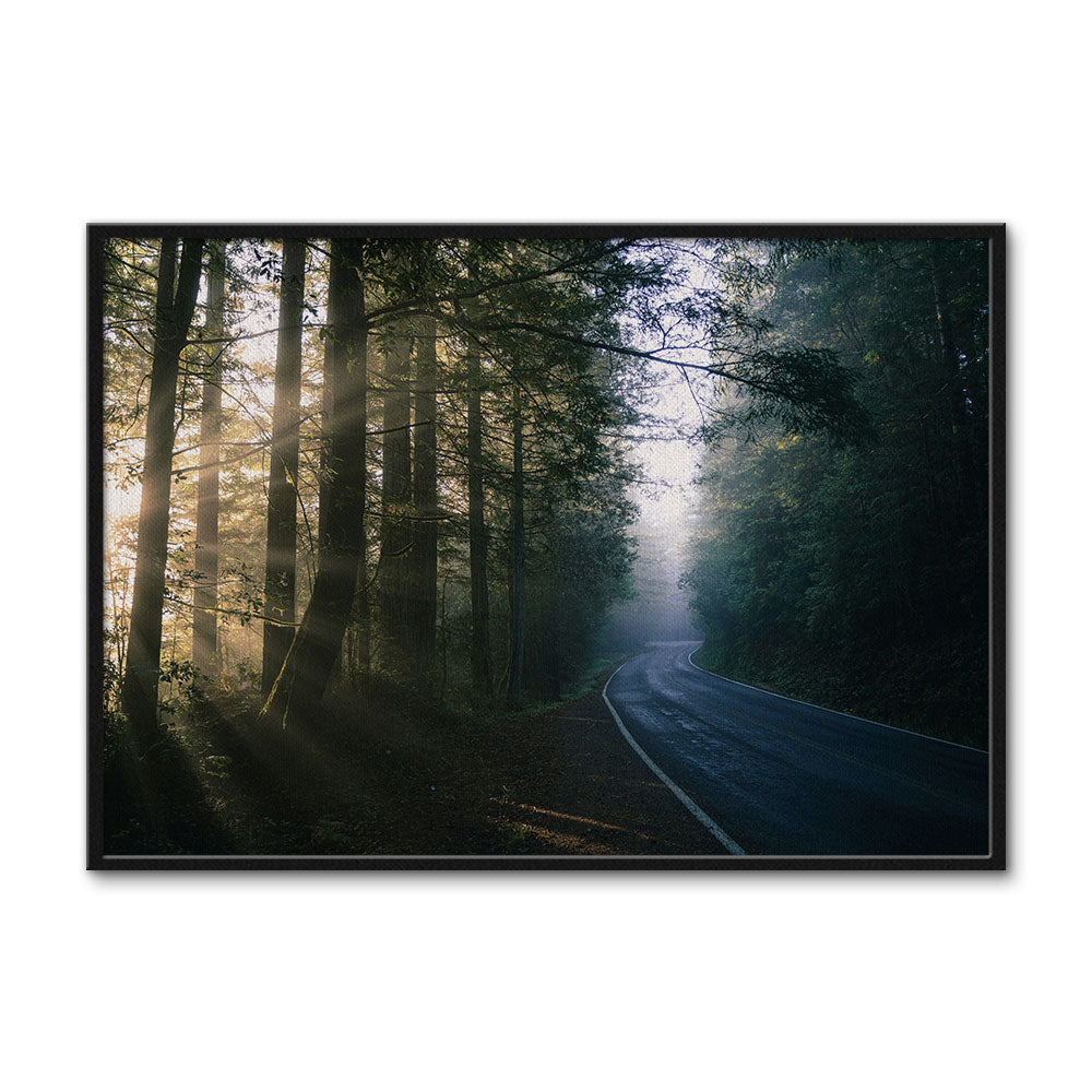 Redwood National and State Parks Wall Art