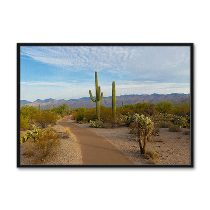 Saguaro National Park Wall Art