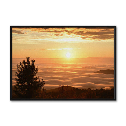 Shenandoah National Park Wall Art