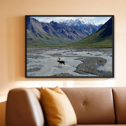 Denali National Park and Preserve Wall Art