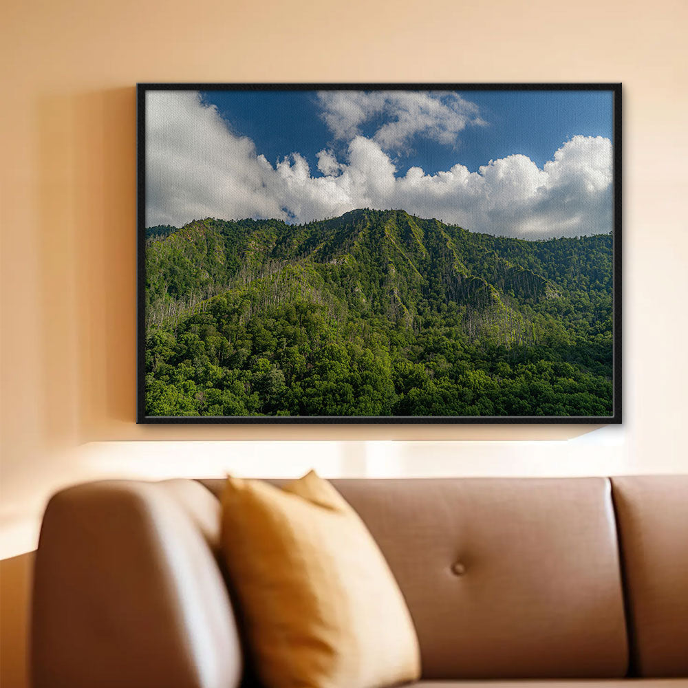 Great Smoky Mountains National Park Wall Art