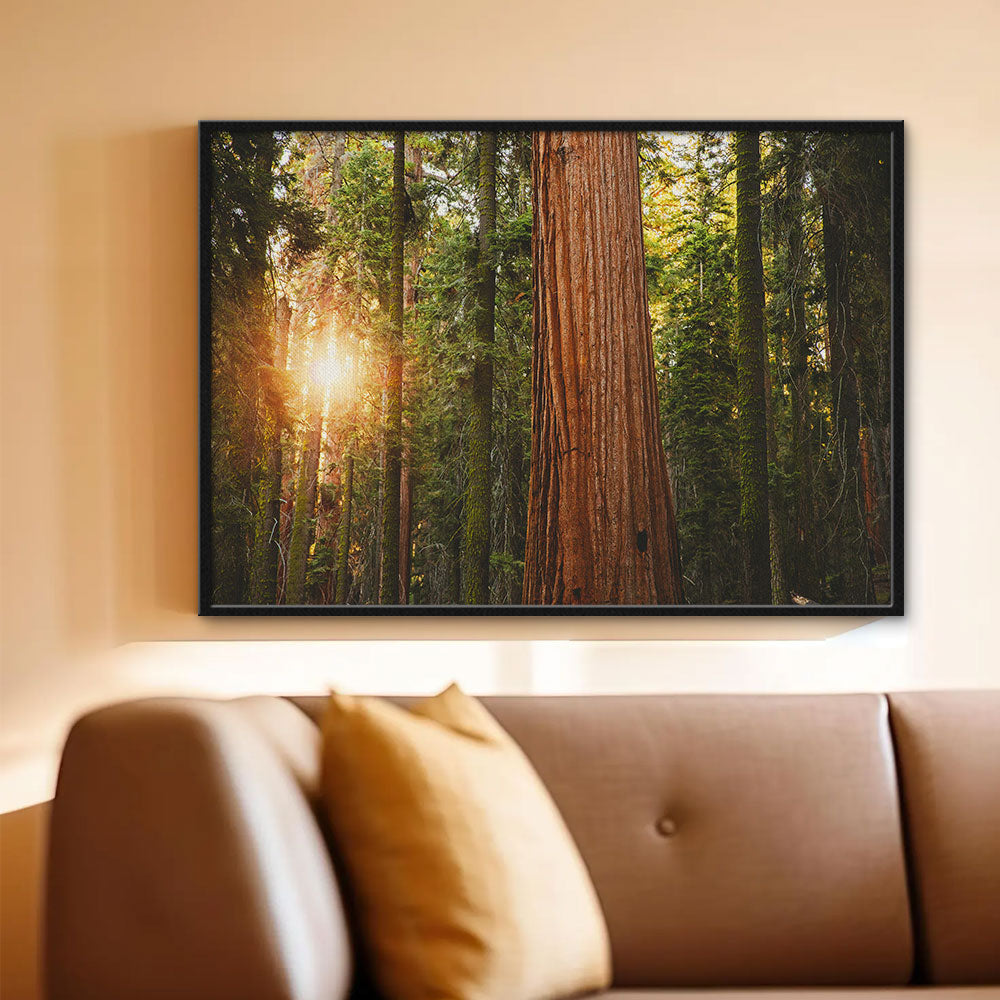 Sequoia National Park Wall Art