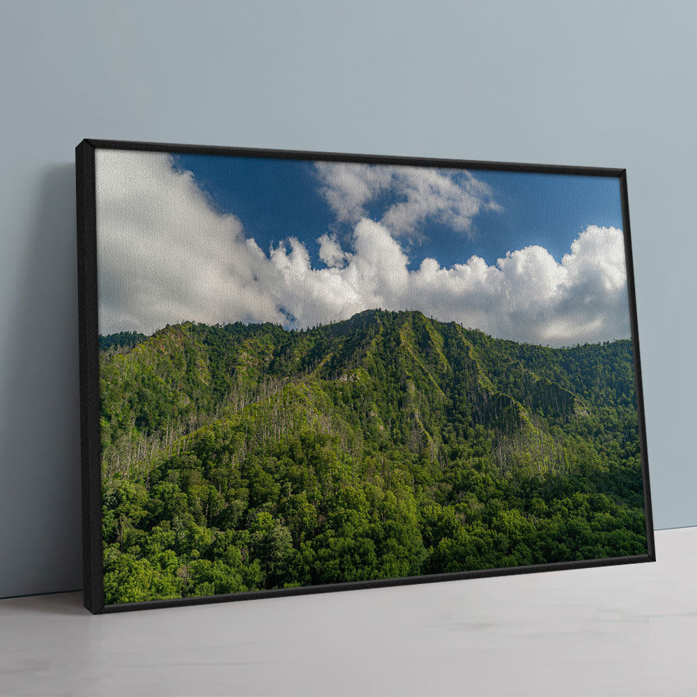 Great Smoky Mountains National Park Wall Art