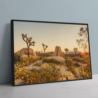 Joshua Tree National Park Wall Art