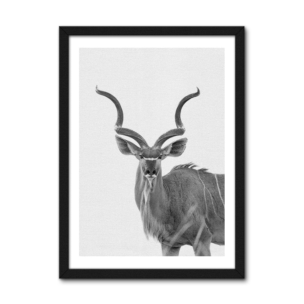 Greater Kudu Wall Art