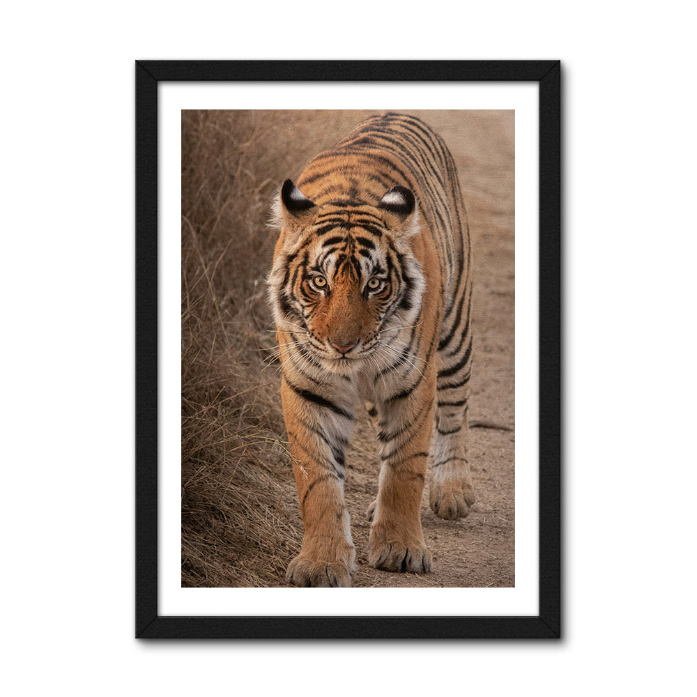 The Tiger Large Wall Art