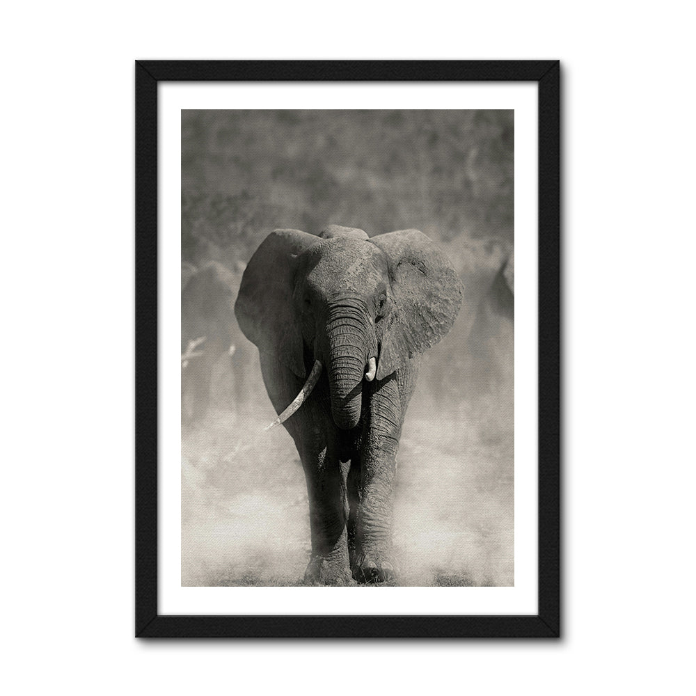 Gray Elephant Wall Art