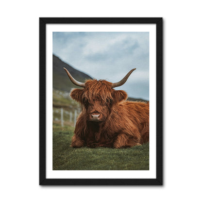 Chill Highland Cow Wall Art
