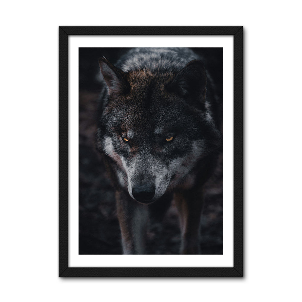 The Wolf Large Wall Art