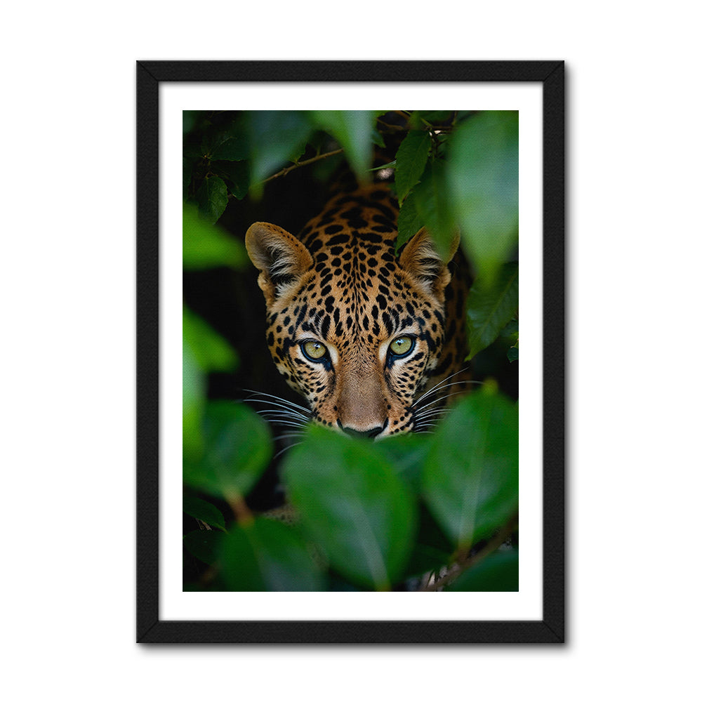 Forest Leopard Large Wall Art