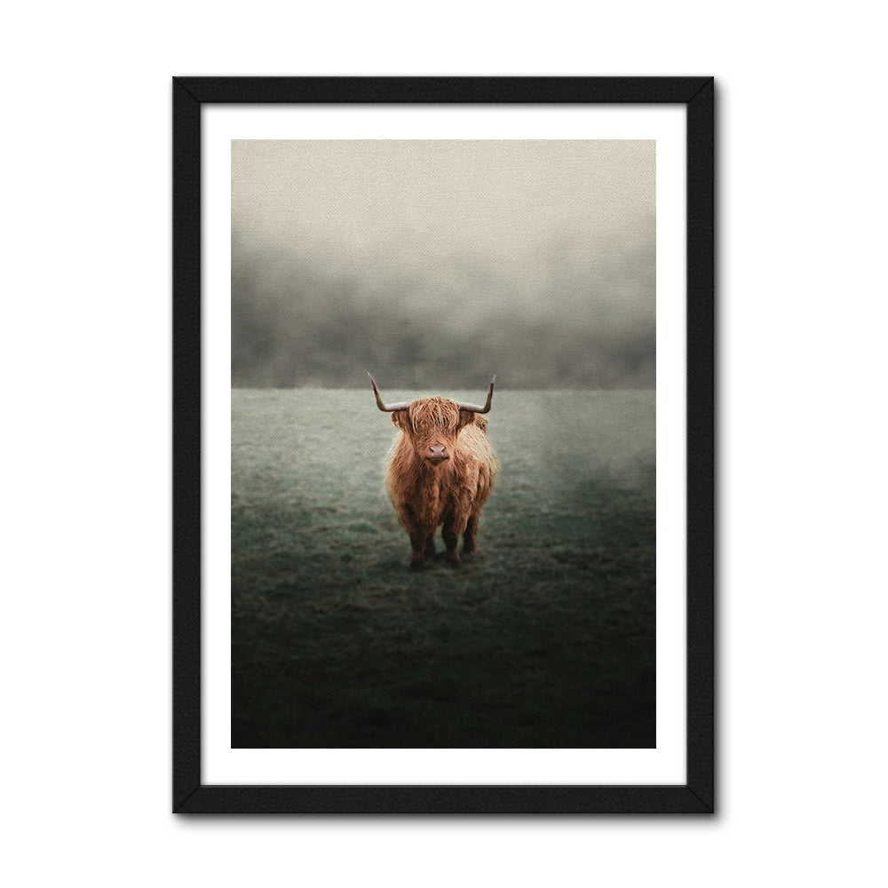 Mystery Highland Cow Wall Art