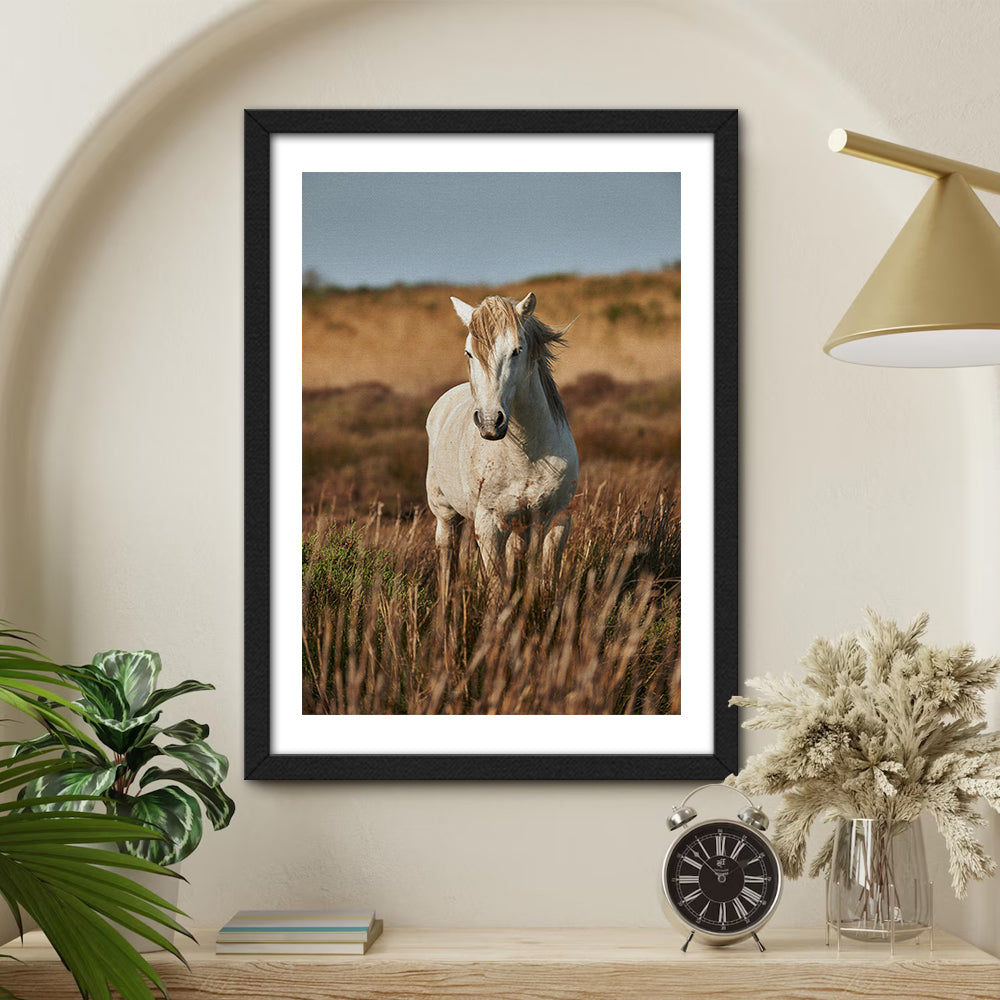 Safari White Horse Wall Art