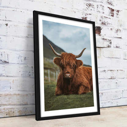 Chill Highland Cow Wall Art