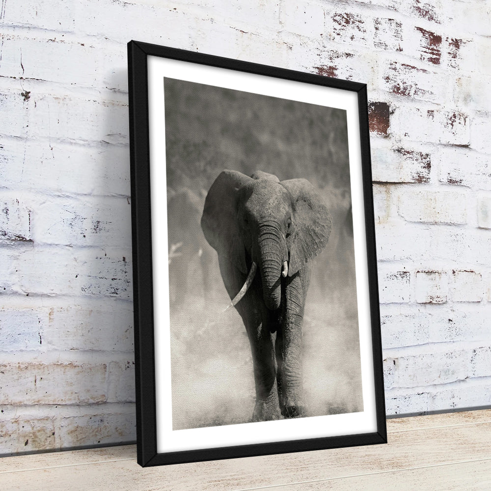 Gray Elephant Wall Art