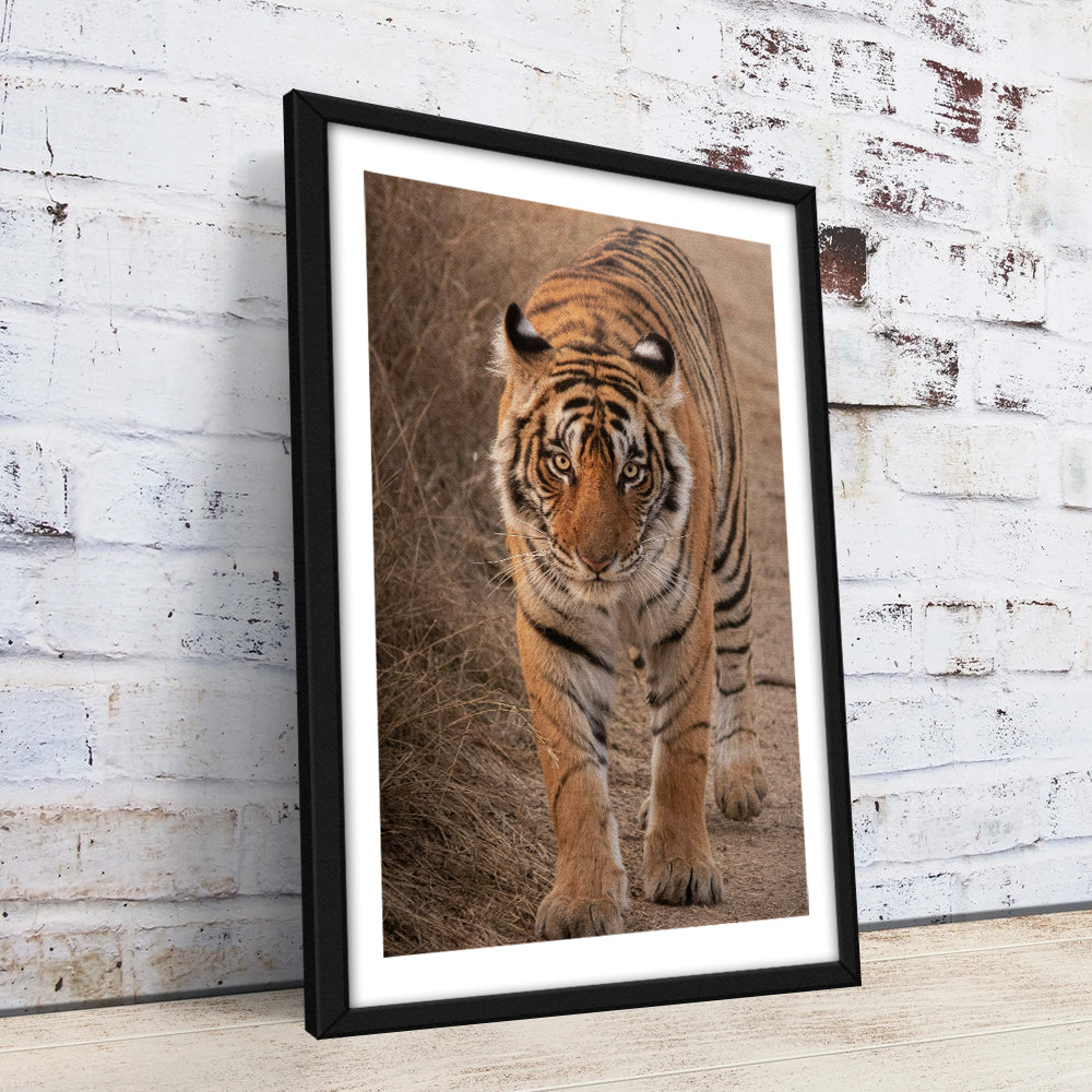 The Tiger Large Wall Art