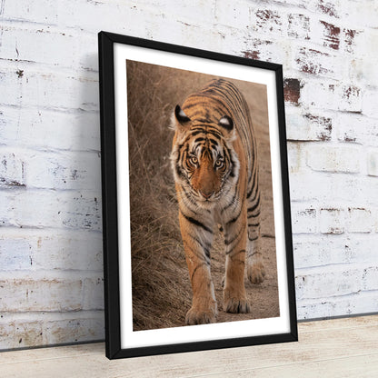 The Tiger Large Wall Art